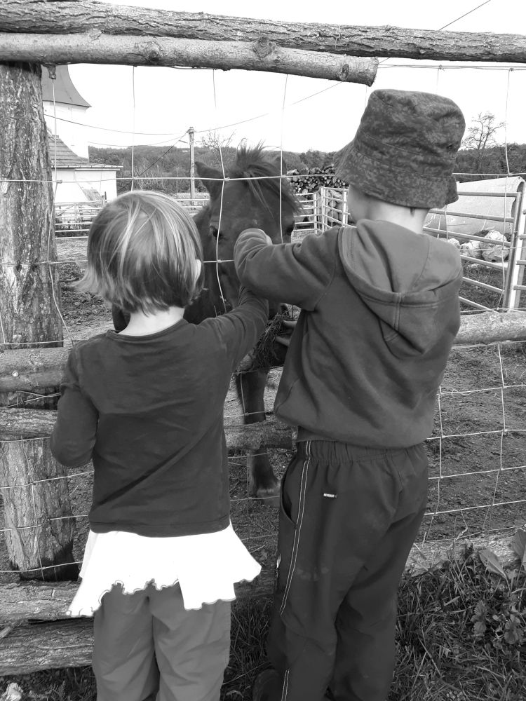 A opět stojíme, hladíme a krmíme