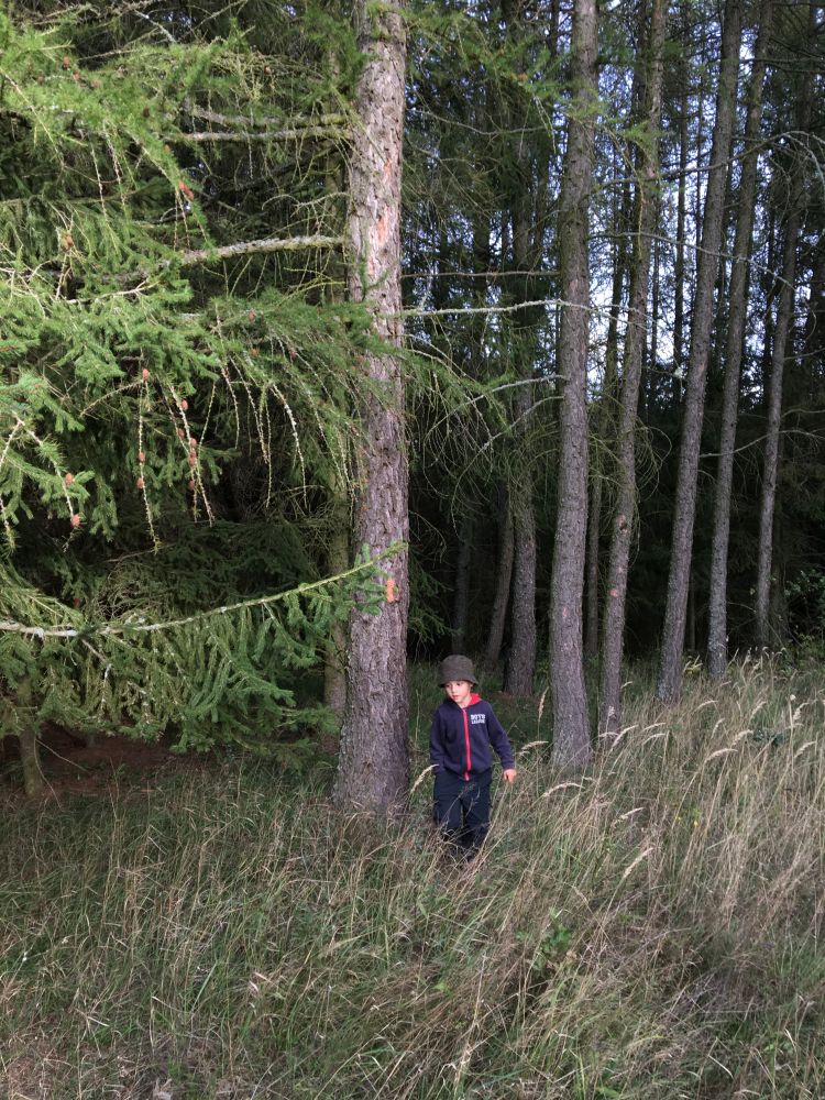 Dohoubováno, vracíme se k autu