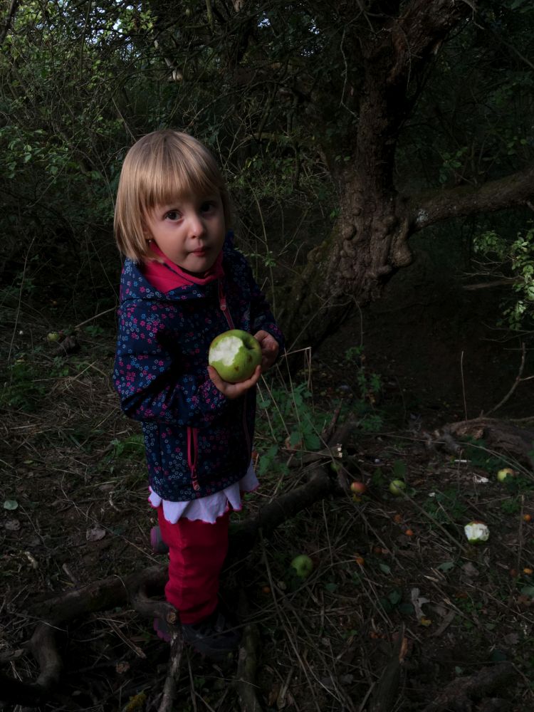 Ještě jednou Adélka
