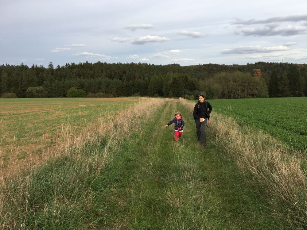 Návrat do Prosatína