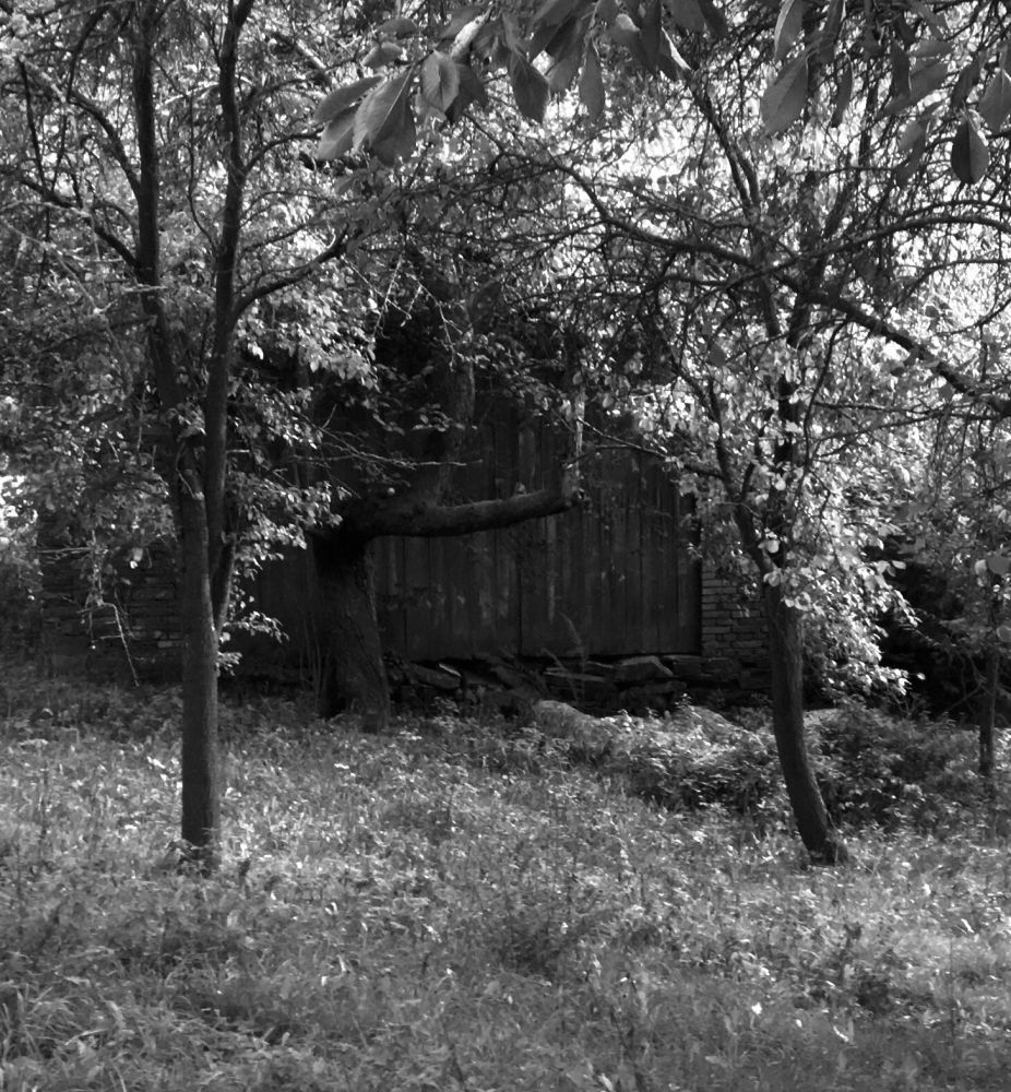 Jedna ze starých stodol