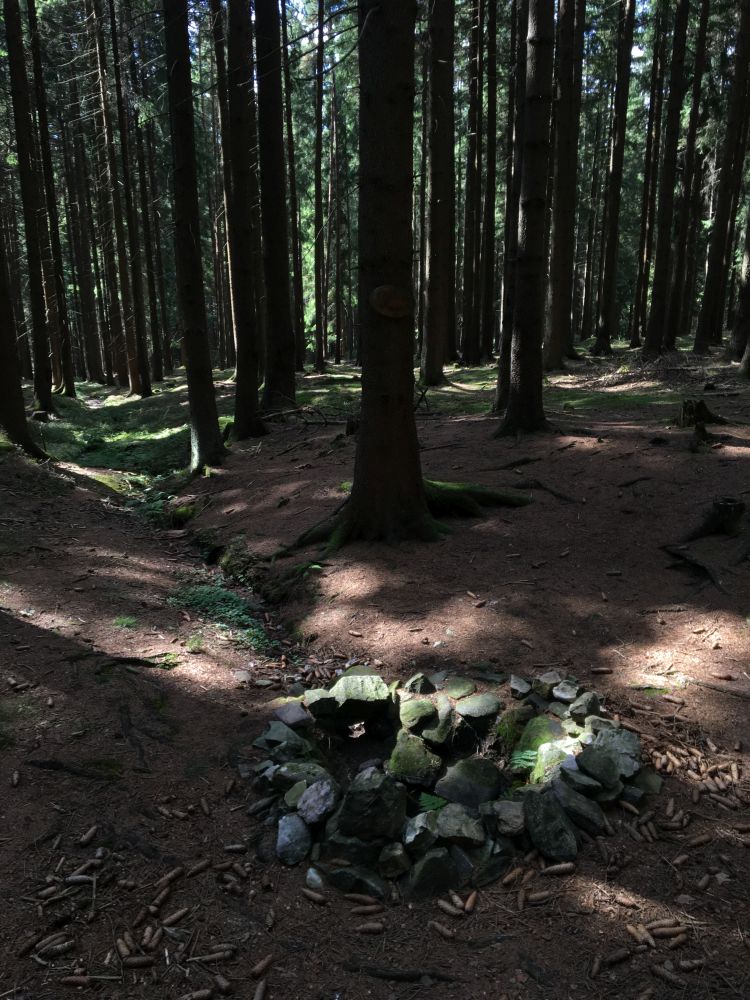 Je schovaná v lese mimo značky