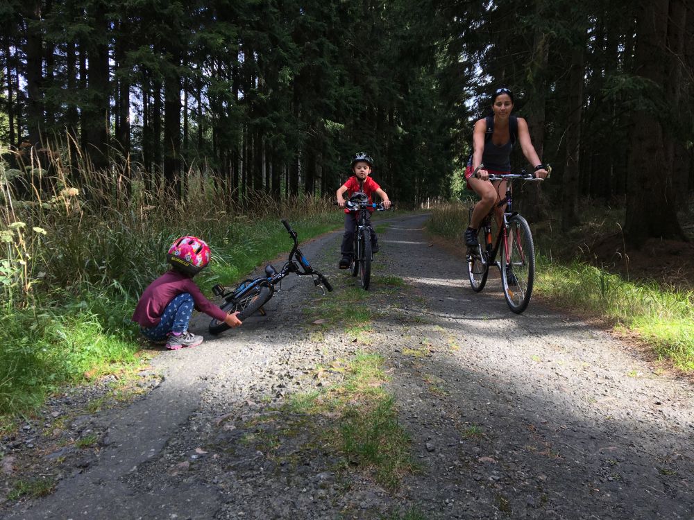 Jedem na průzkumnou výpravu do lesů za Krejcarem