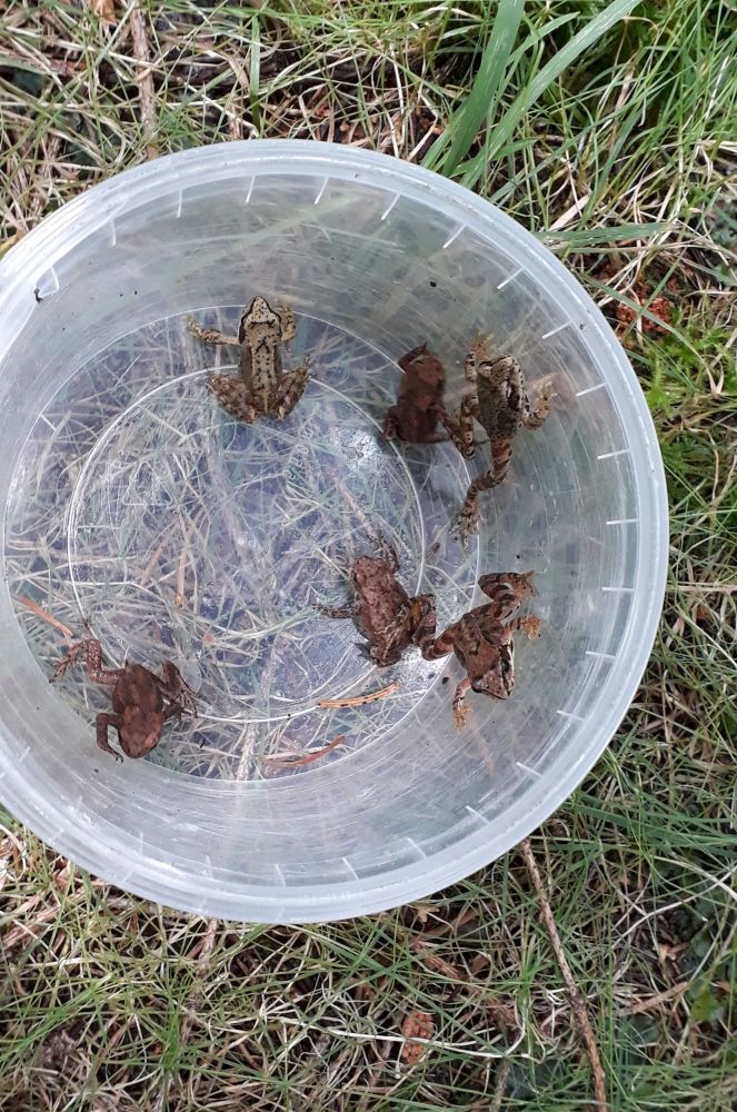 Lovíme všechno co se hýbe