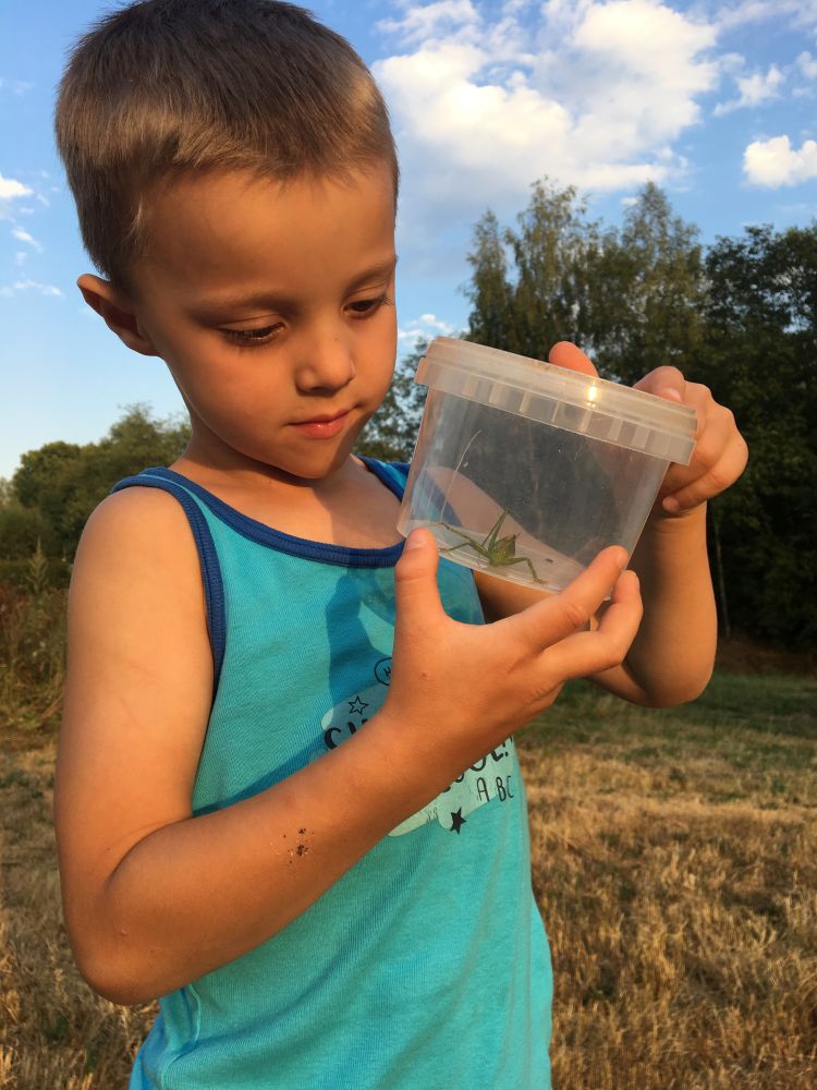 Ulovili jsme kobylku