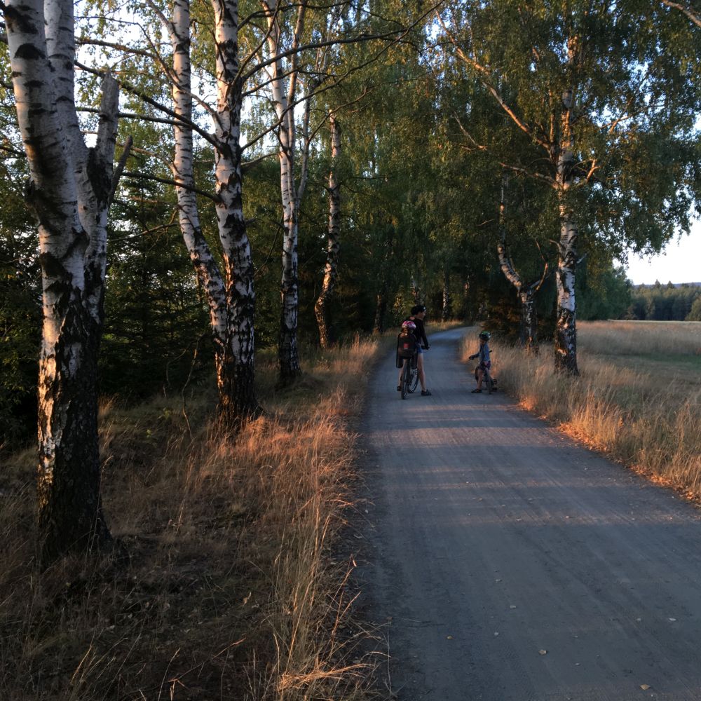 Hezká cesta za odměnu