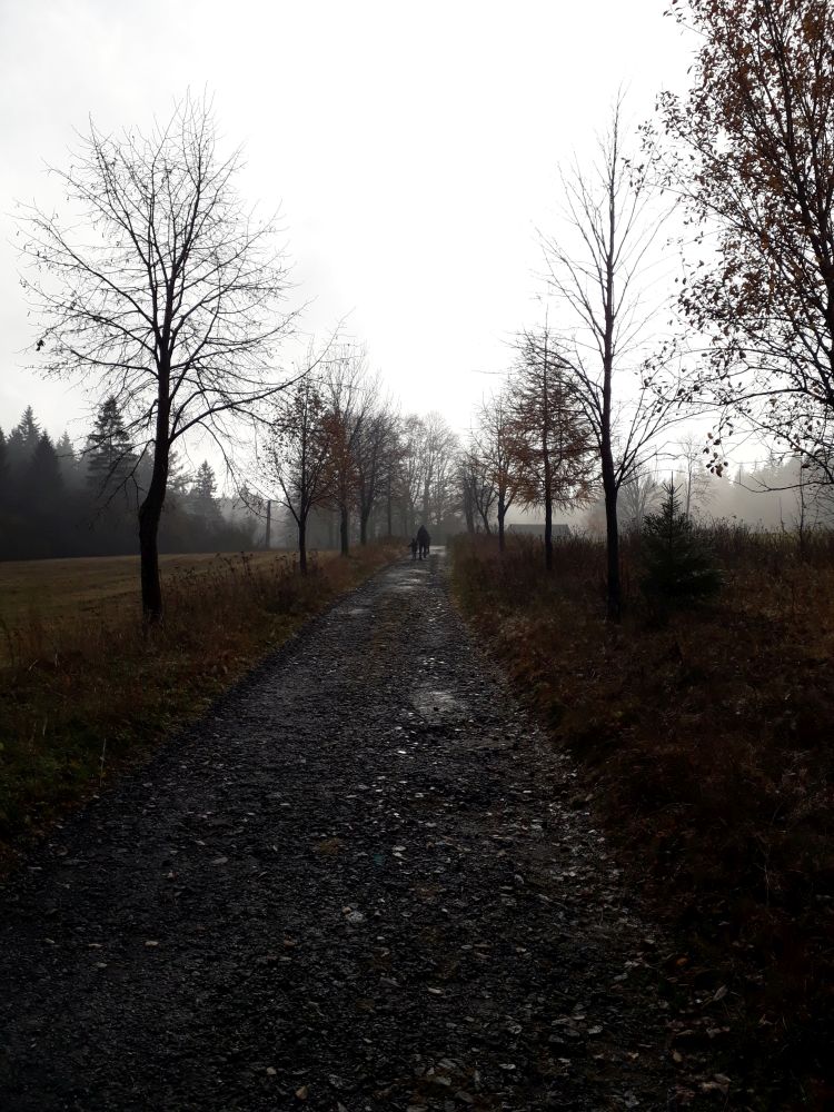 Neděle, vyjasňuje se, jdeme na houby