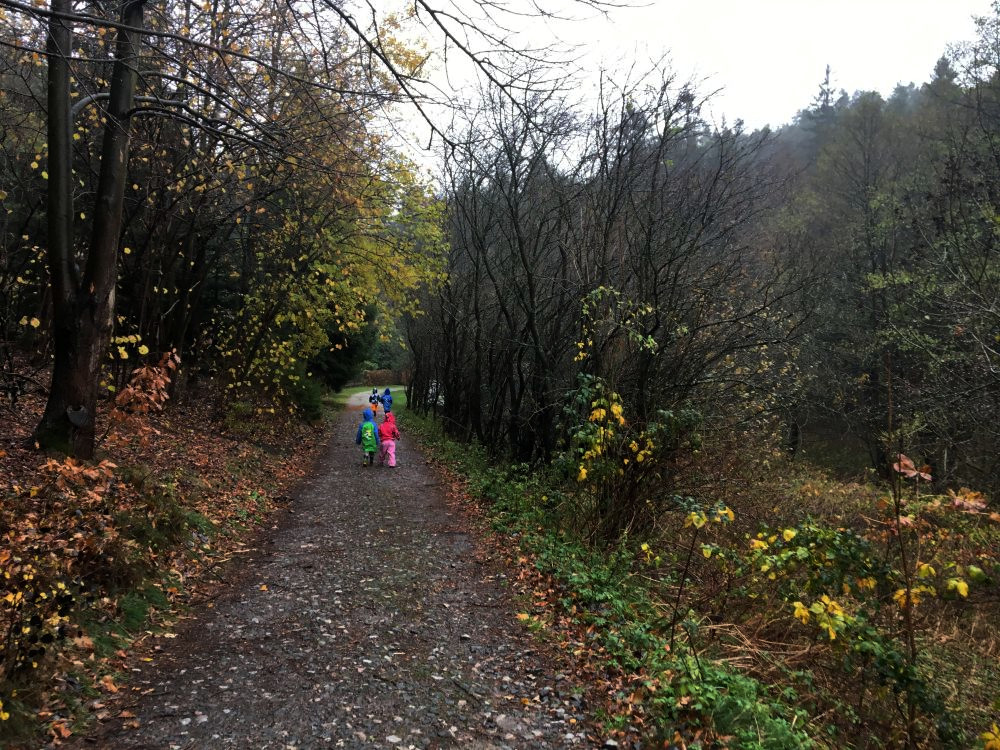 Sobota, prší, jdem do skal