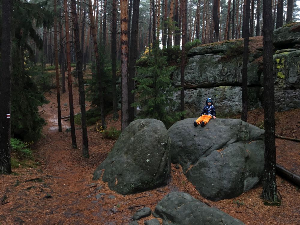 Je morko, ale lezeme