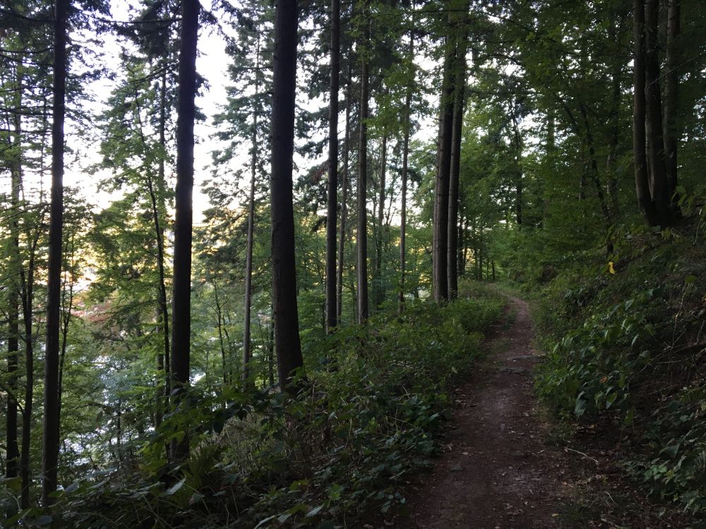 Nekonečné stoupání