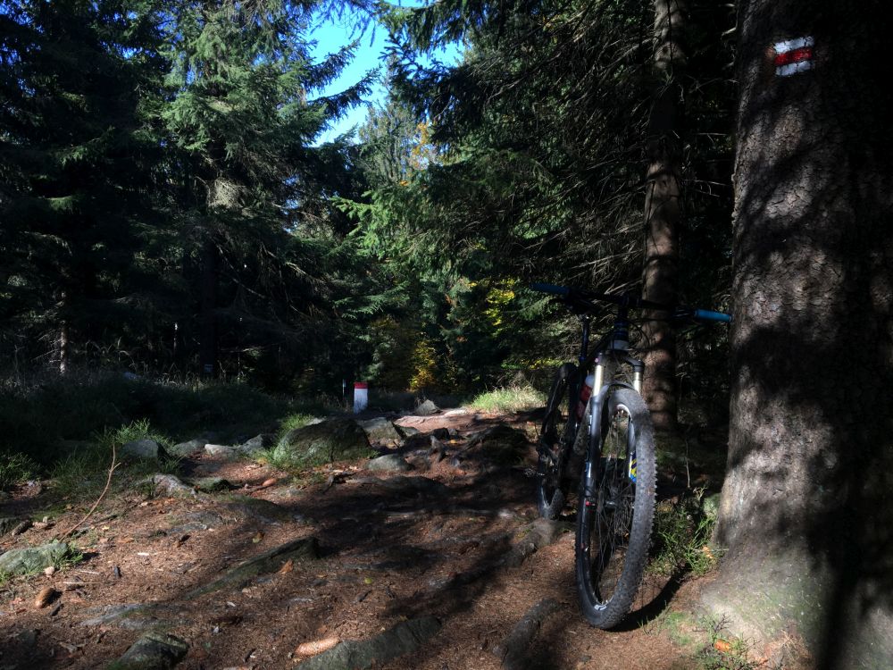 Stoupání na Borůvkovou horu