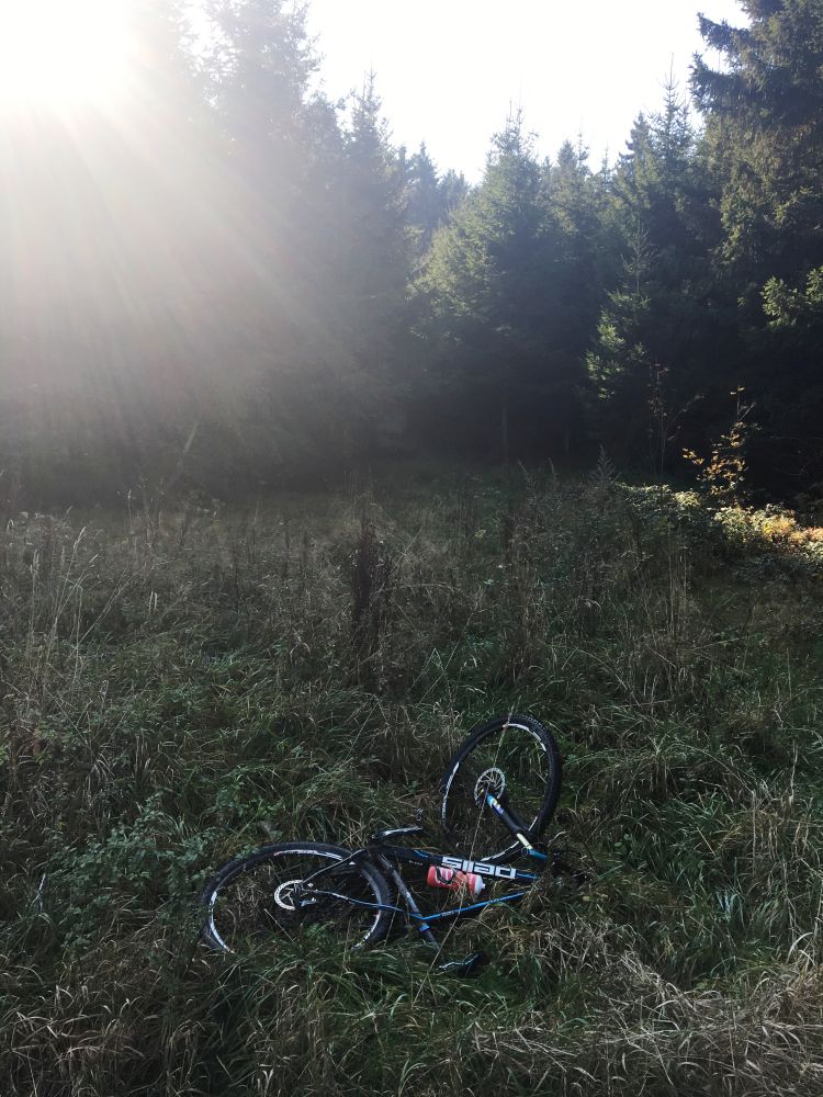 V té trávě byla kláda