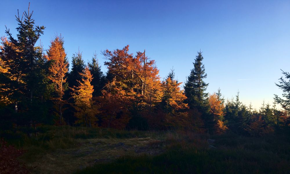 Studený - poslední vrchol, pak už jen dolů