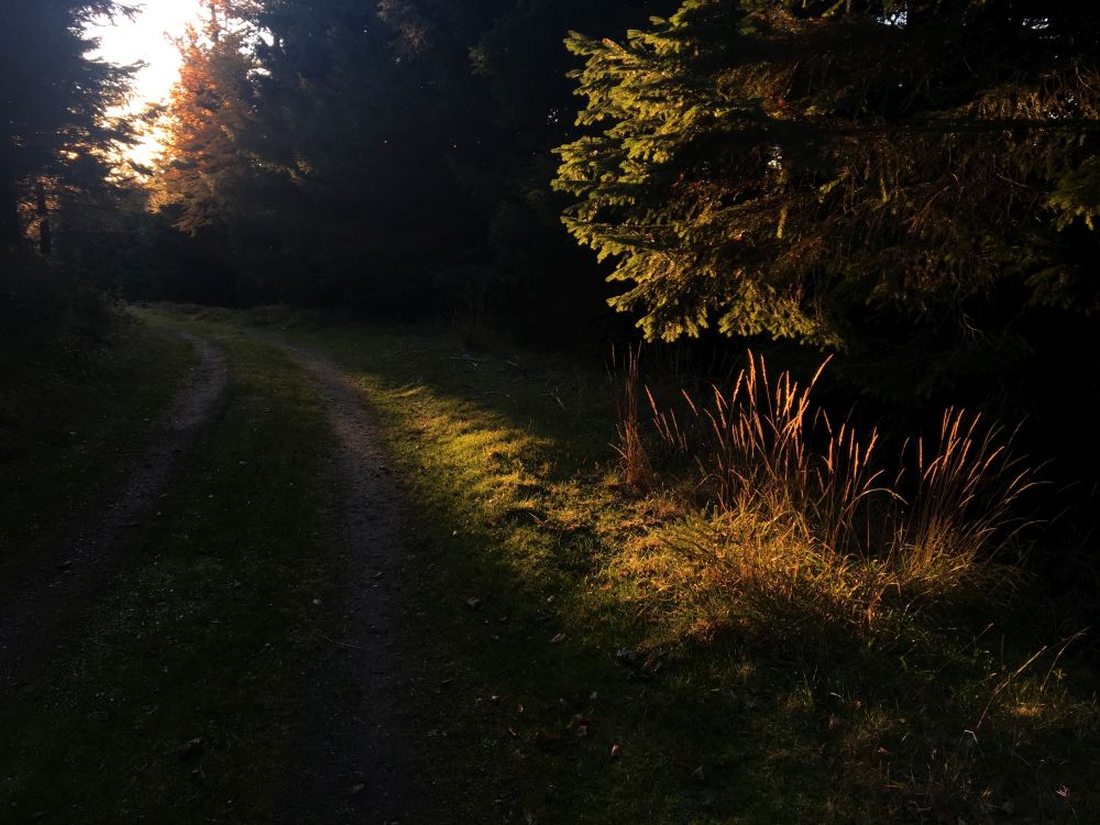 Poslední paprsky dnešního dne