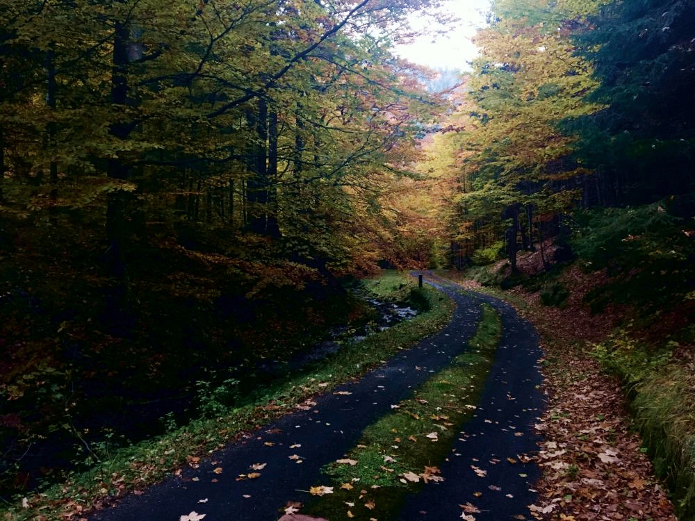 Sjezd údolím Stříbrného potoka