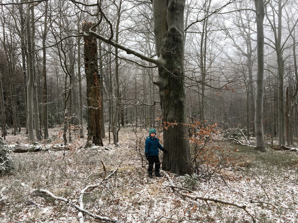 Matýsek pláče, spadl na nos když mi šel pózovat