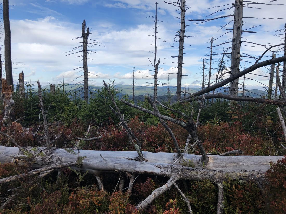 Výhledy z Velkého Polomu