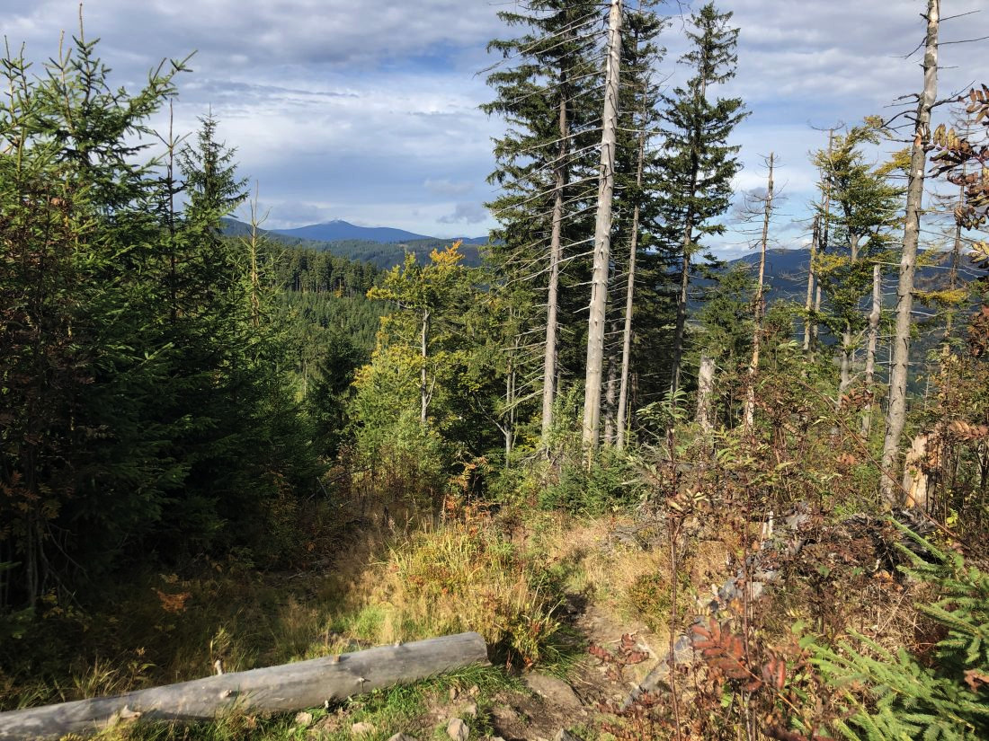 Těžký sjezd k Muřinkovému vrchu