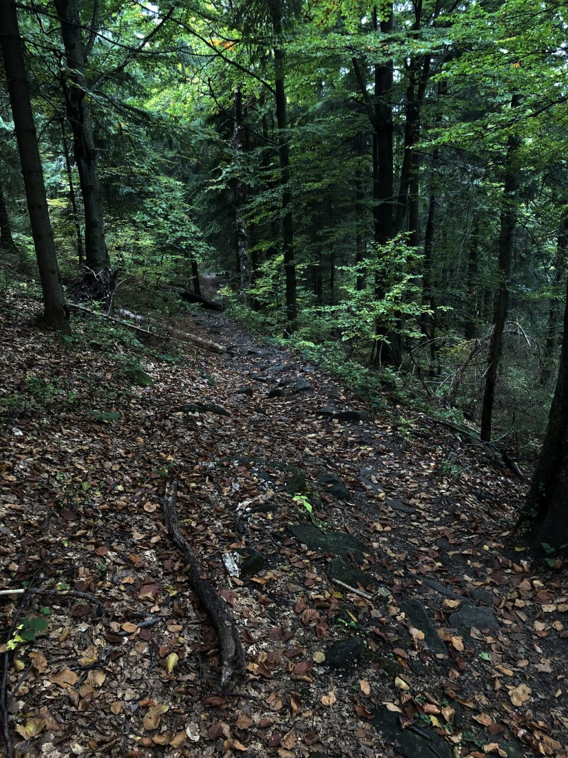 Takhle vypadají cestičky po hranicích