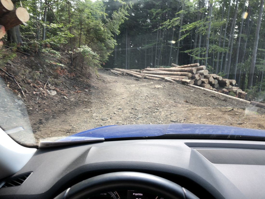 Nedělní cesta dolů