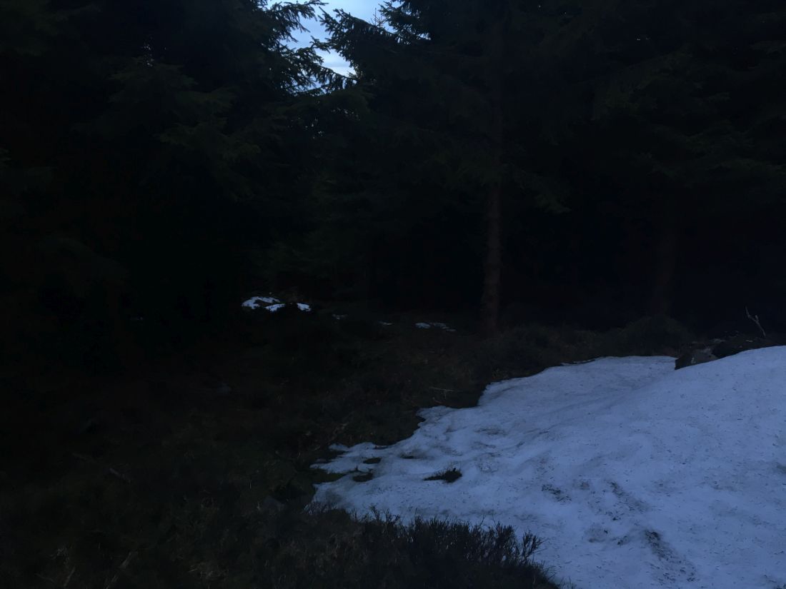 Tenhle úsek mě hodně nebavil