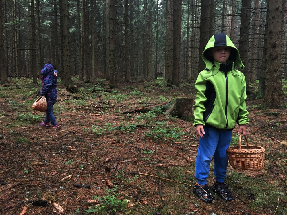 Výprava na houby, nakvašený Matýsek, moc nerostou