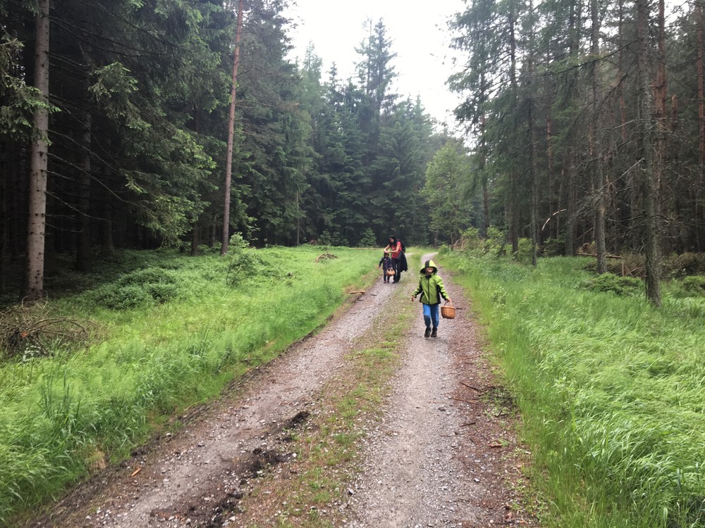 Doslova úprk před komáry, nedalo se to v lese vydržet