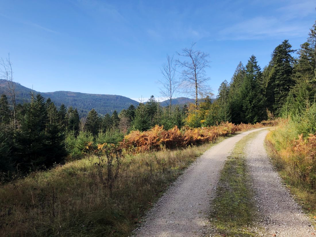 Cesta na hřeben, po kterém jsem pak jel