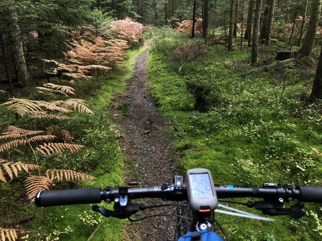 Pěkný úsek to byl