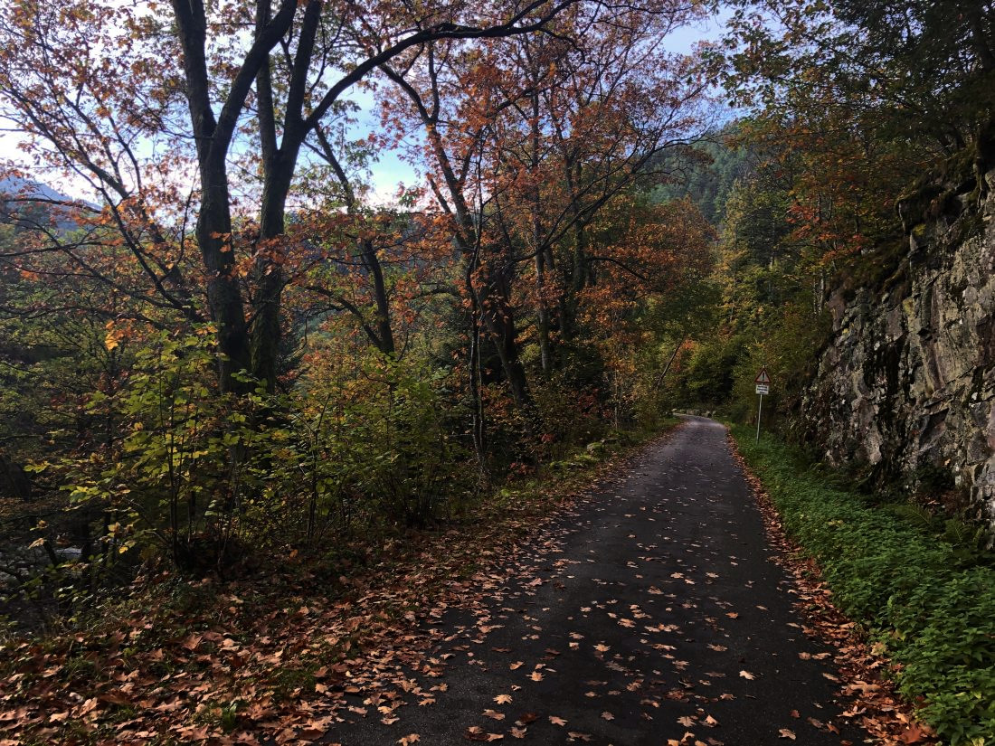 Takových cyklostezek jsou tady snad stovky kilometrů