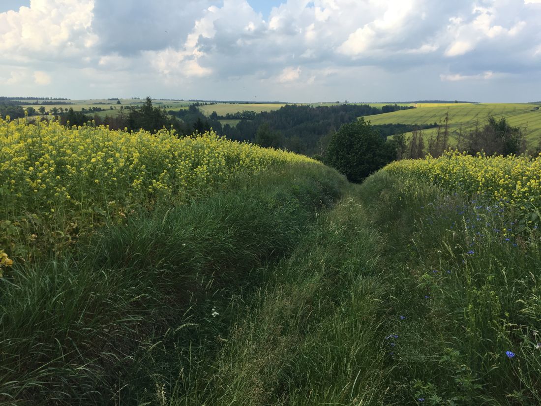 Dolů k Bílému potoku a pak zase nahoru ke Svatoslavi