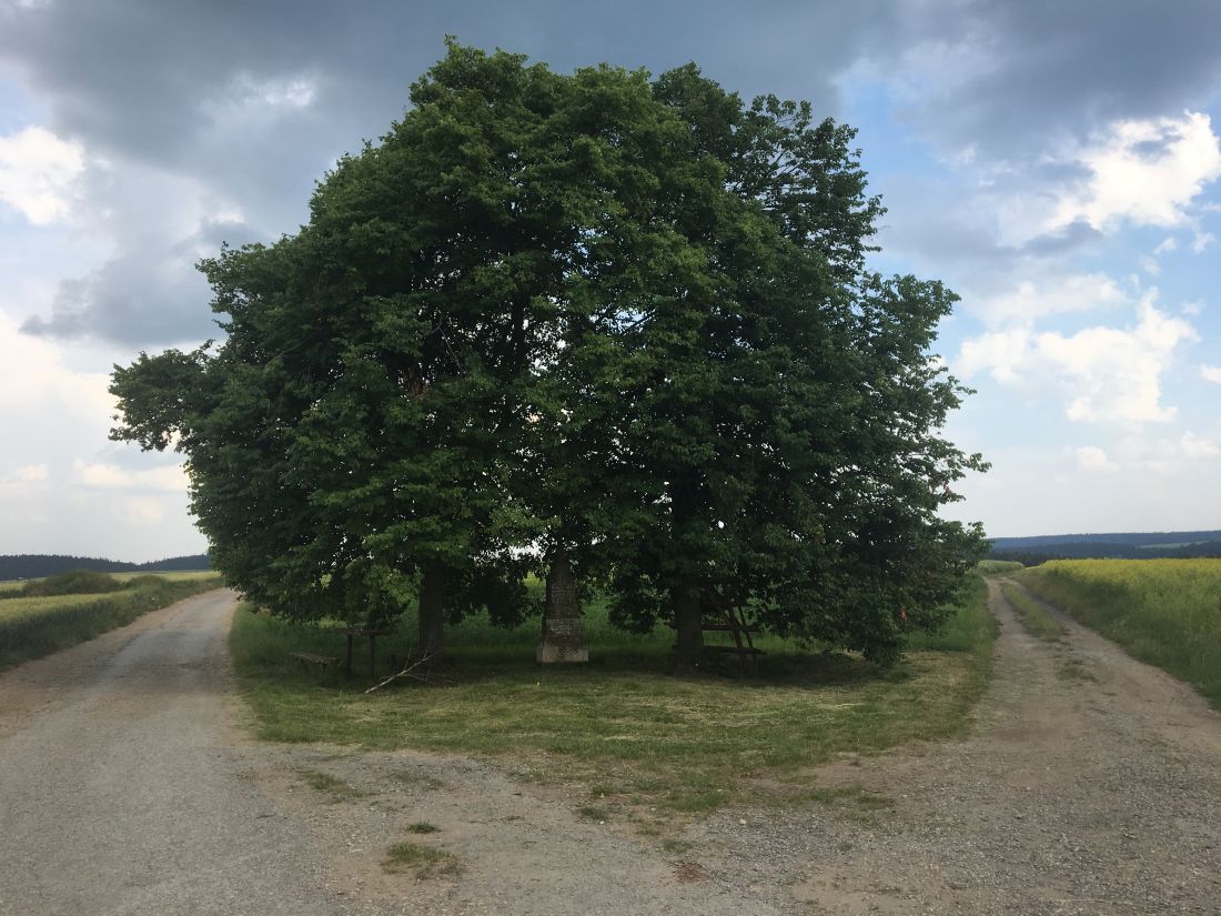 Zastavení u kříku. Zprava jsem přijel a jedu doleva.
