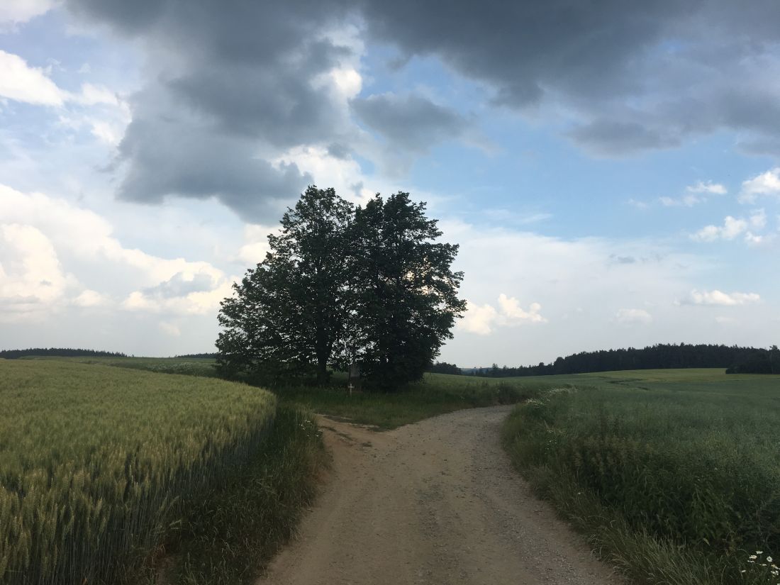 Ještě jeden krásný křížek, ale to už mi nad hlavou hřmí, tak jsem jen proletěl