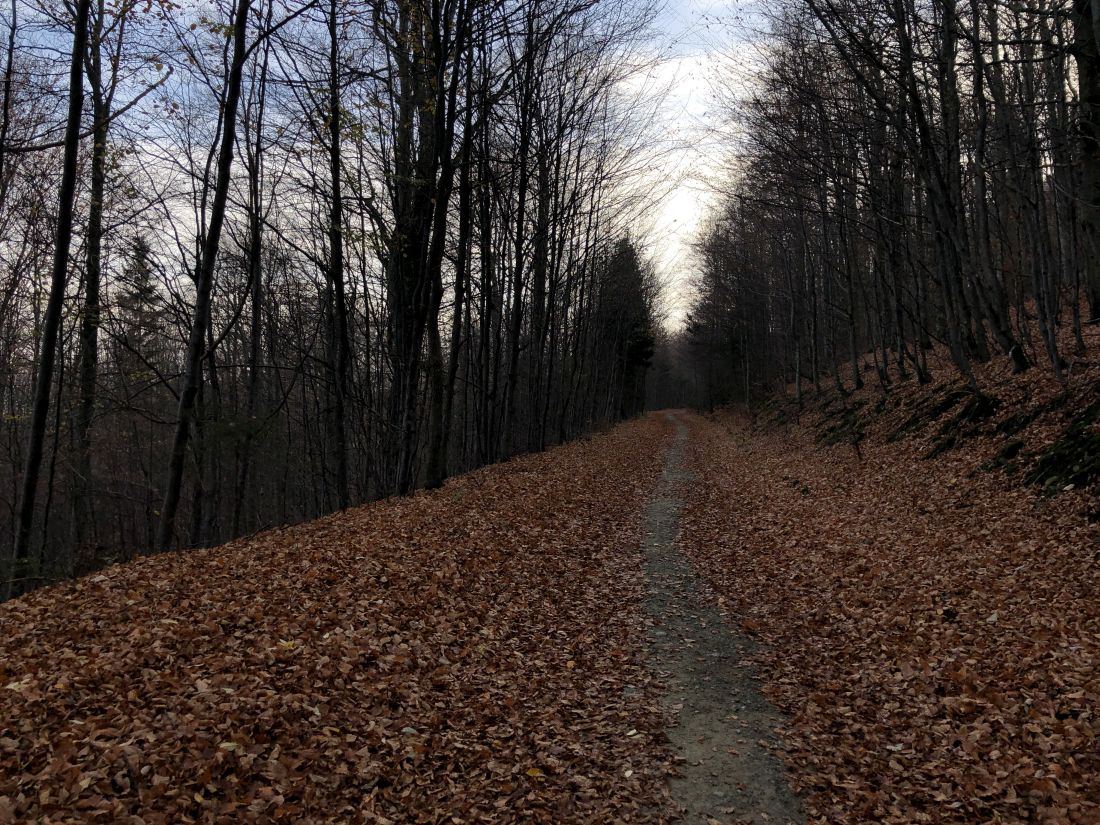 Takovým úsekům říkám "Za odměnu"