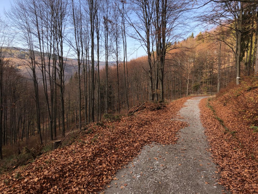 Sjezd z Kamenitého do Košařisek, taky za odměnu