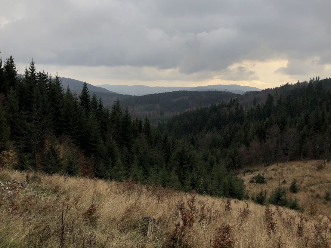 Tohle se mi nikdy neokouká