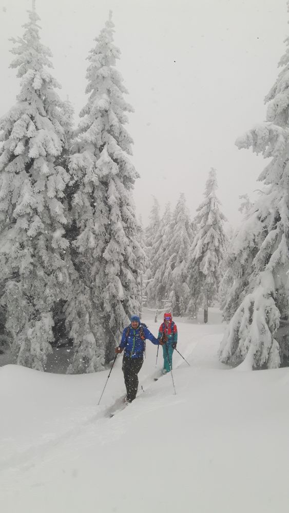 Ráno jdeme na Vozku