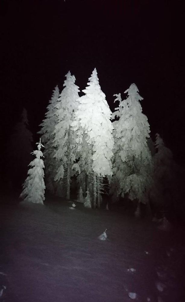 Noční výšlap na chatu.