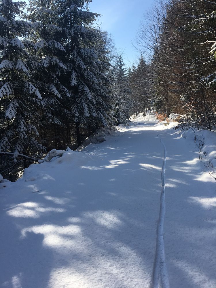 Jediná stopa je od mého kola