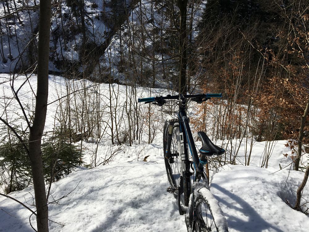 Místo, kde jsme kdysi tábořili, stromy jsou pryč, místo ztratilo své kouzlo