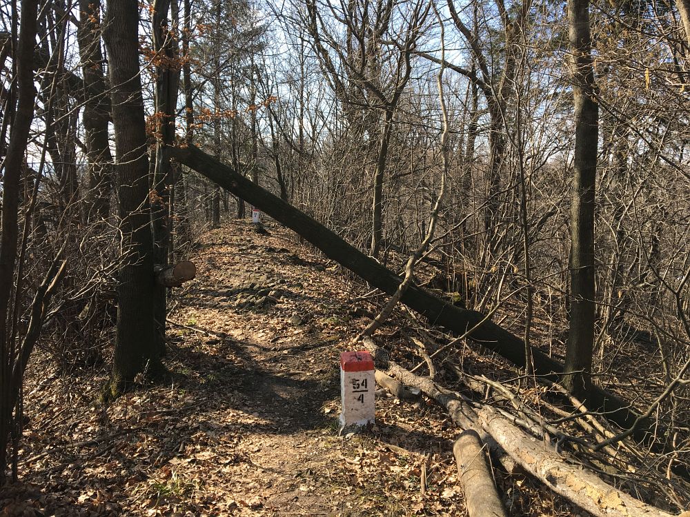 Místy parádní single trail