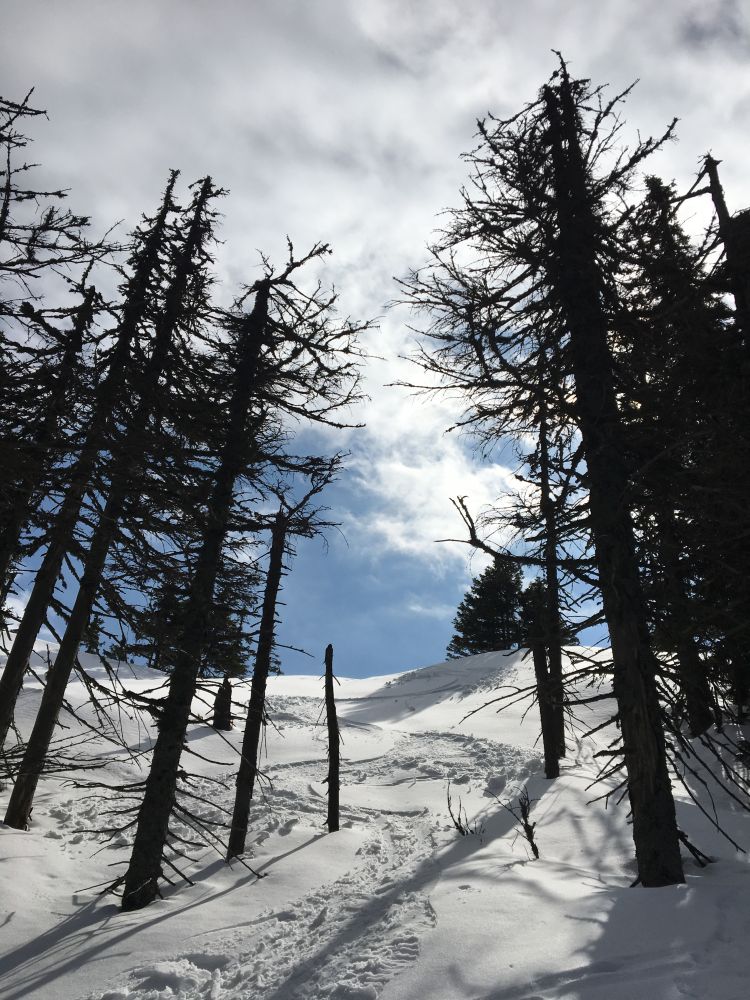 A hurá dolů do Sviního dolu