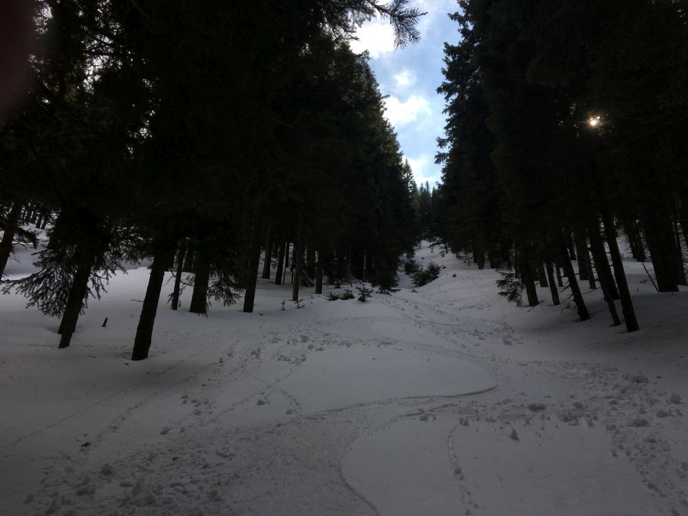 Krásný sjezd shora až dolů