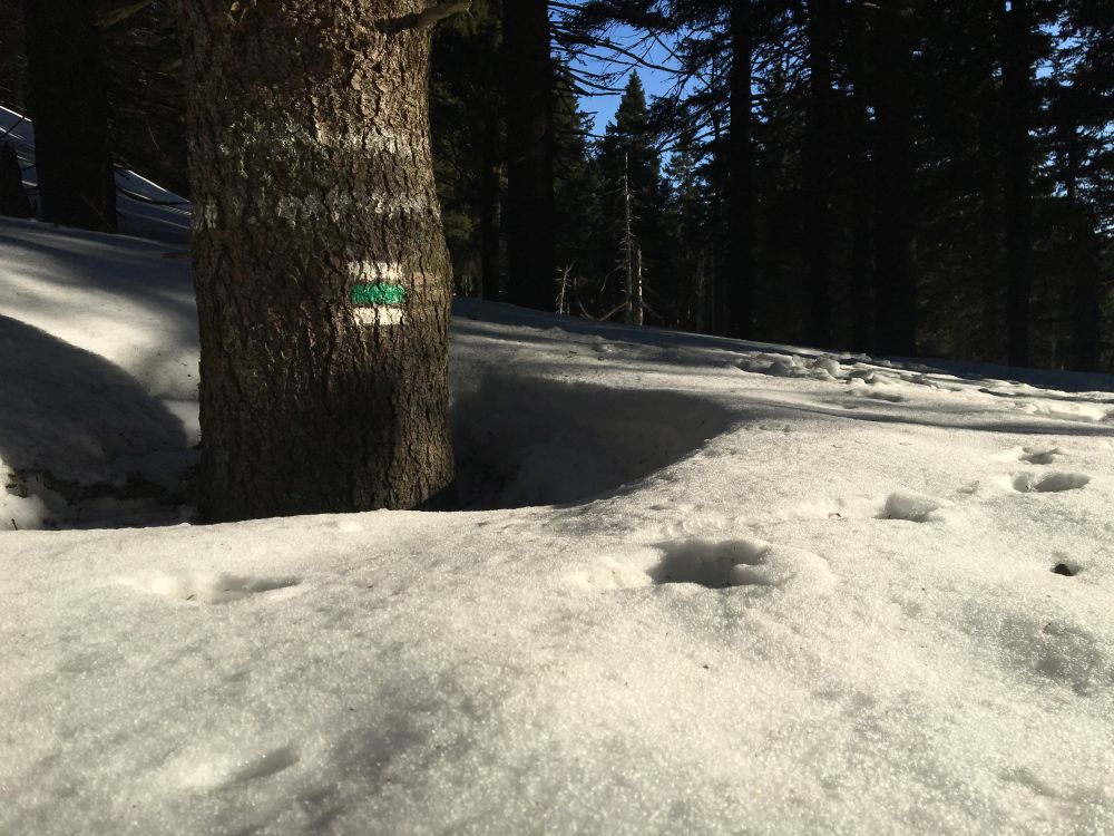 Skoro jaro a všude téměř metr sněhu
