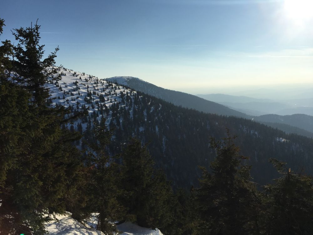 Jelení hřbet a Břidličná hora