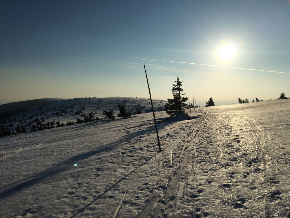 Je večer, nikde ani živáčka