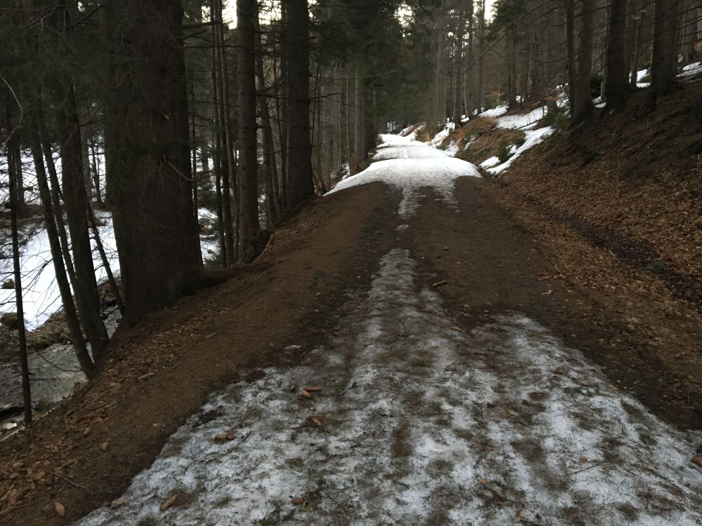 Až do Karlova se dojet nedalo