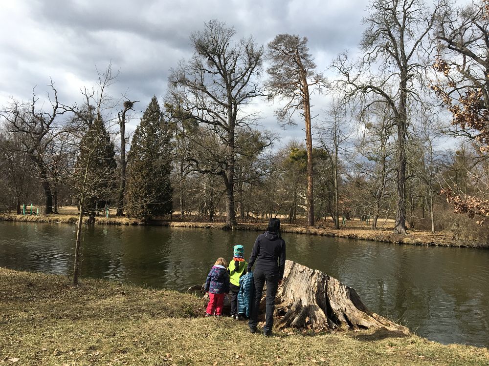 Pozorujeme hnízdo na ptačím ostrově