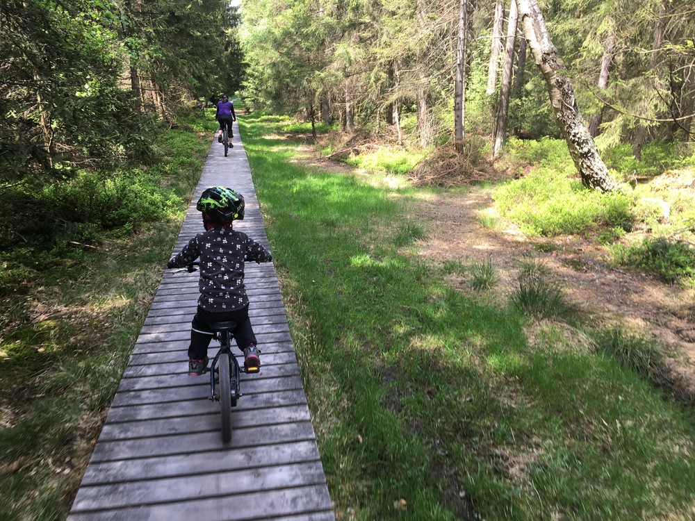 Cestou zpátky podél Dářka