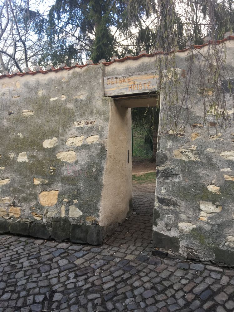 Tady se vychovávají malí Vontové